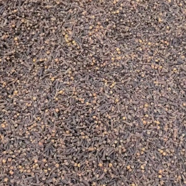 丁香规格齐全可视频看货愿我们一次合作终身可成为朋友