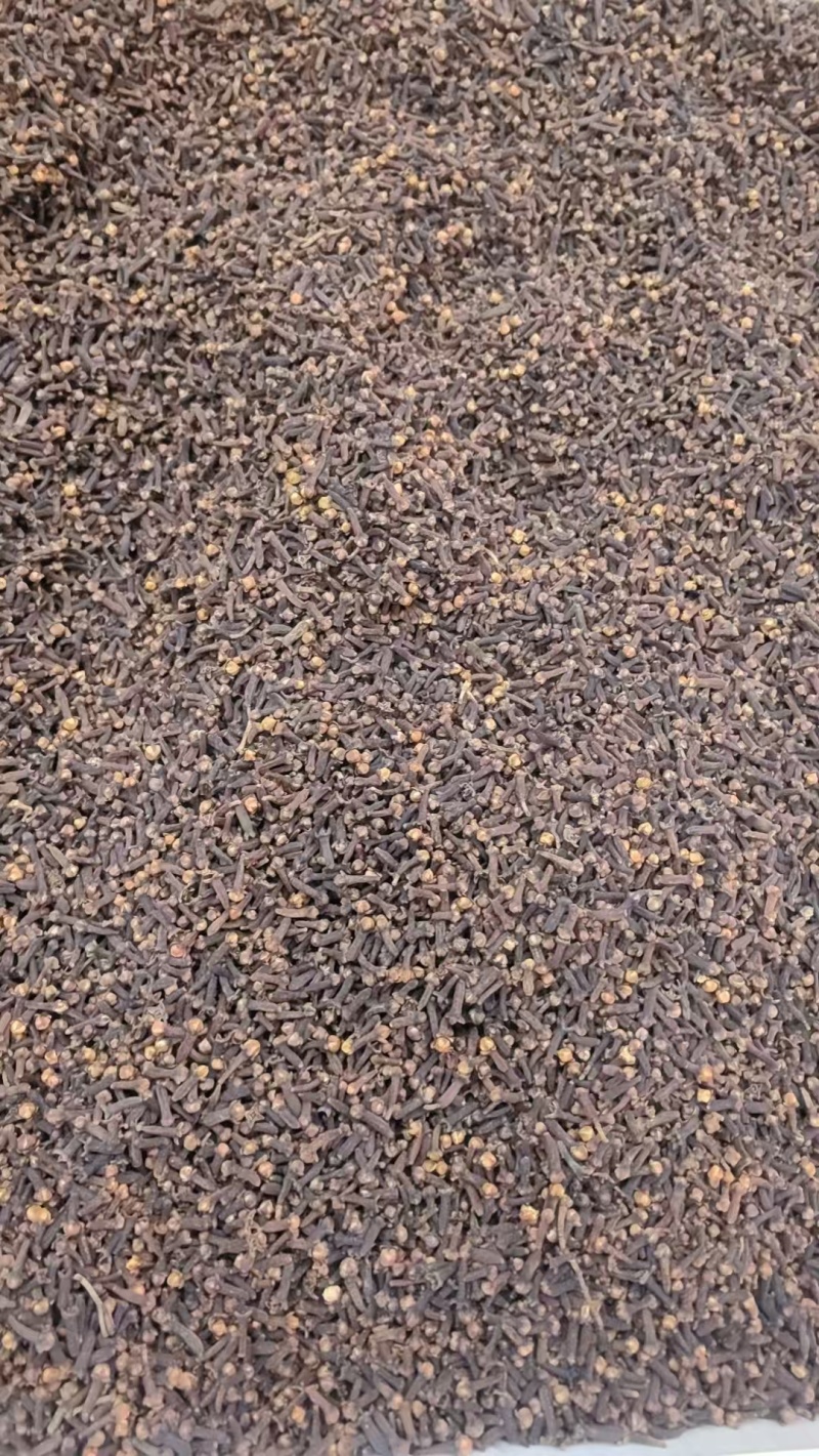 丁香规格齐全可视频看货愿我们一次合作终身可成为朋友