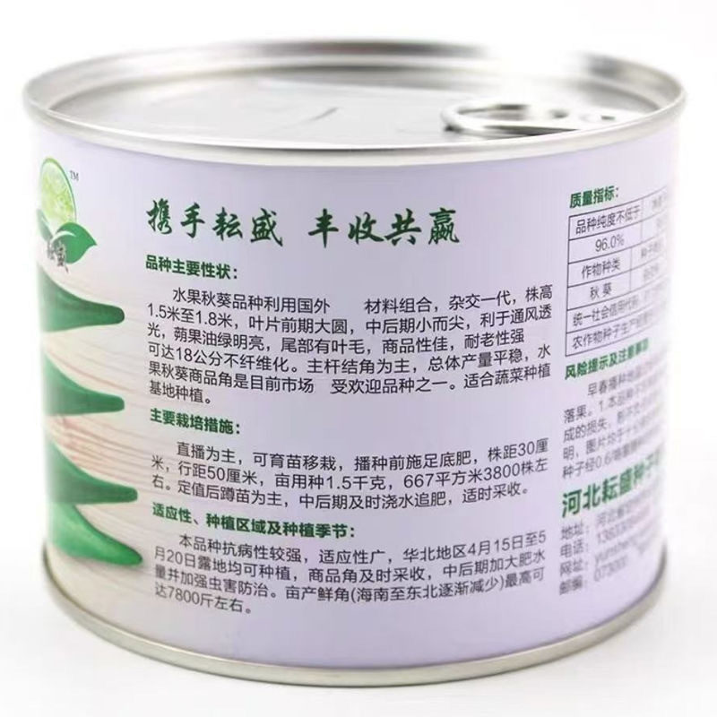 水果秋葵种子朔果油绿明亮耐老性强可达18公分不纤维化