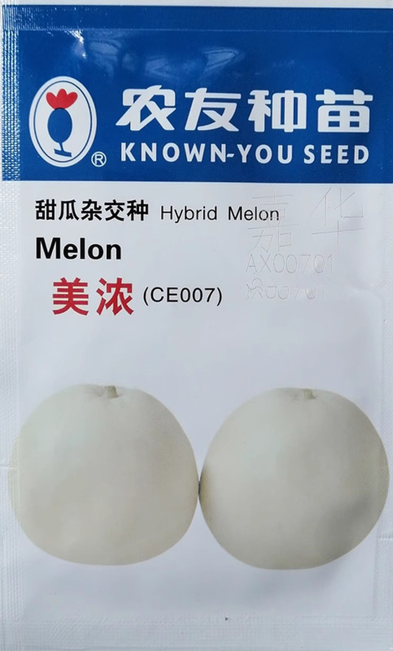 美浓甜瓜种子薄皮甜瓜肉色淡白绿肉质细腻含度高