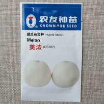 美浓甜瓜种子薄皮甜瓜肉色淡白绿肉质细腻含度高