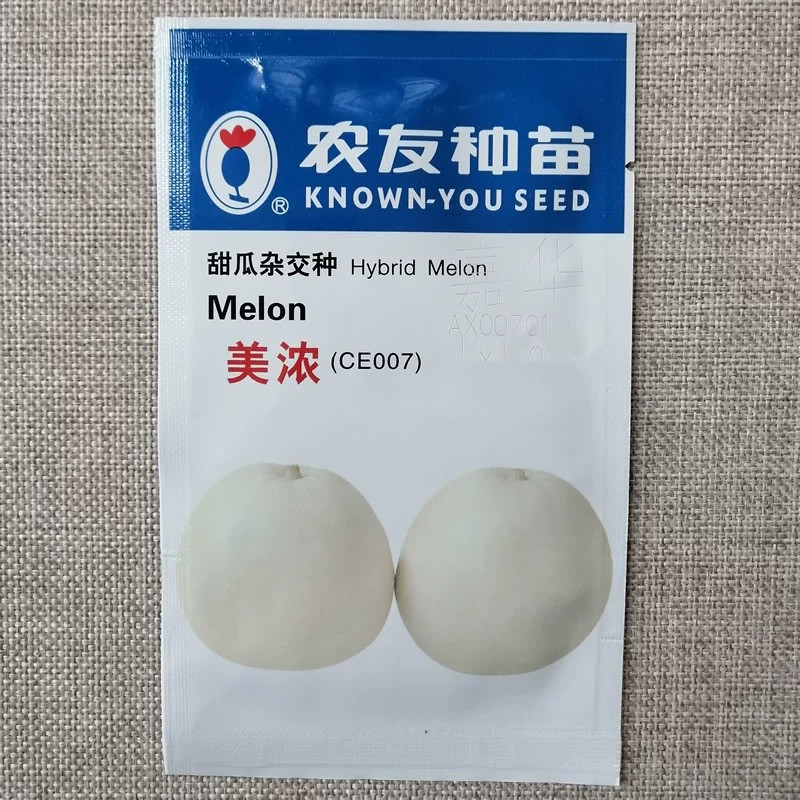 美浓甜瓜种子薄皮甜瓜肉色淡白绿肉质细腻含度高