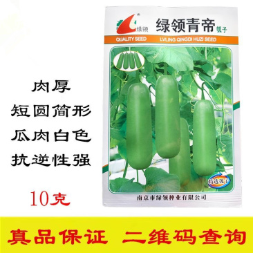 绿领青帝瓠瓜种子瓜肉白色肉厚葇嫩香甜抗病耐储运