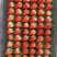【热卖】精品草莓山东菏泽红颜草莓品质保障可视频看欢迎