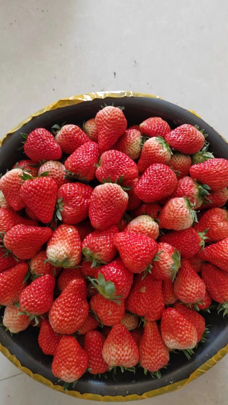 【热卖】精品草莓山东菏泽红颜草莓品质保障可视频看欢迎