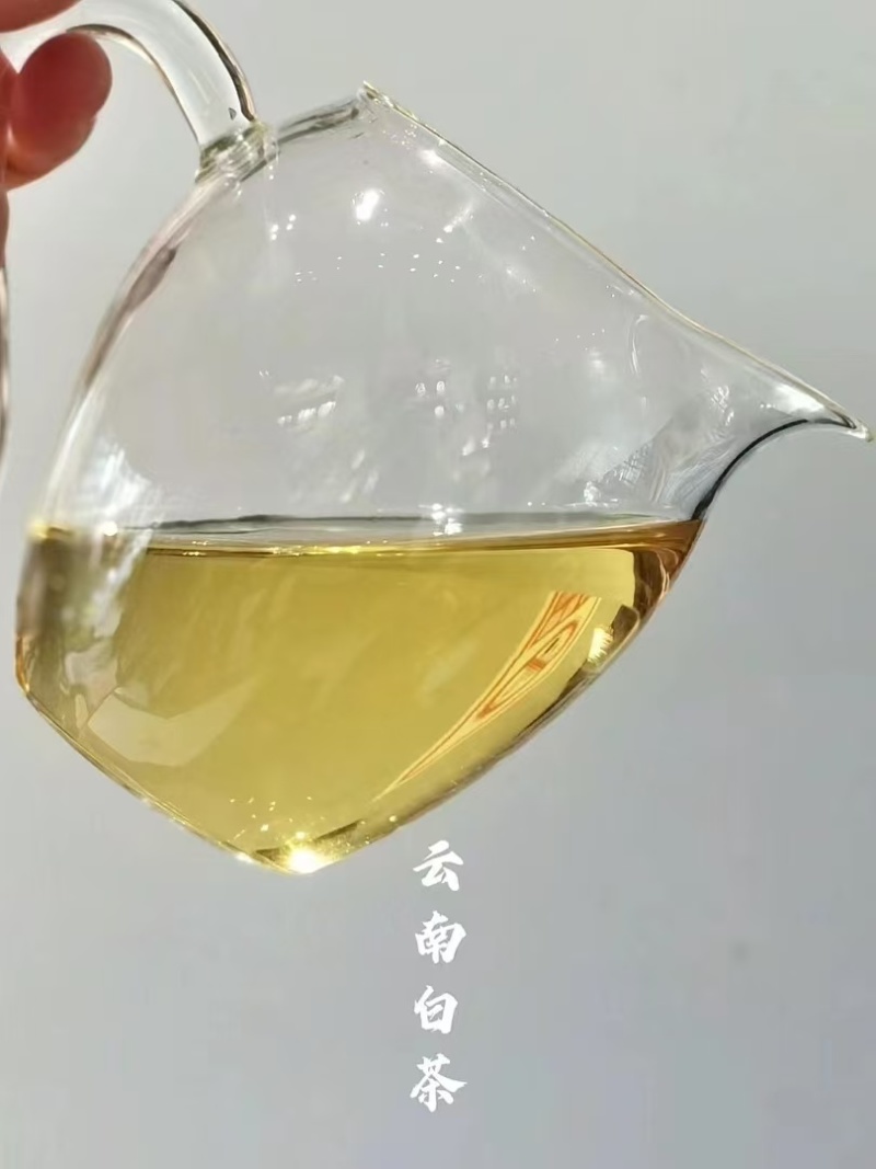 普洱白茶（古树龙珠）五年陈老白茶10斤起包邮