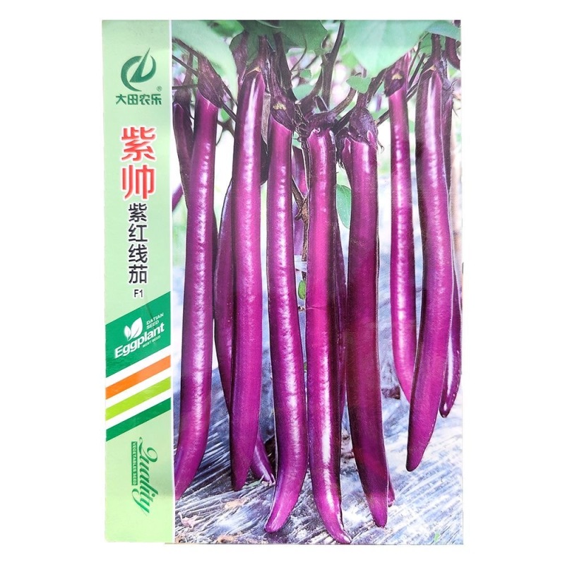 紫帅紫红线茄种子果型顺直肉质细嫩紧密连续座果能力强