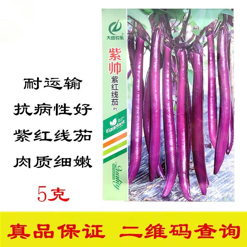 紫帅紫红线茄种子果型顺直肉质细嫩紧密连续座果能力强