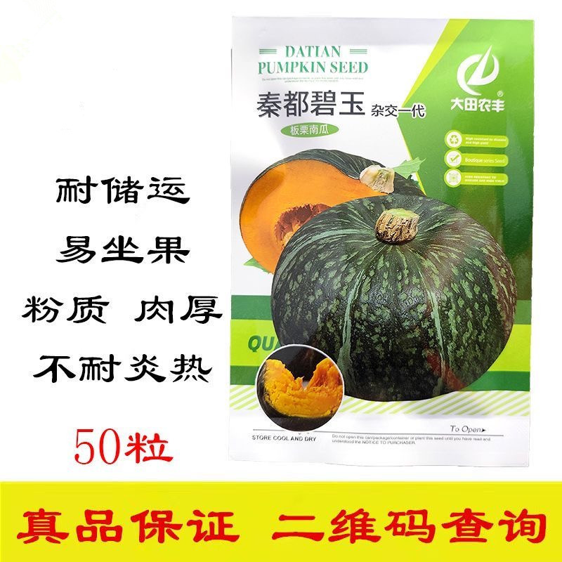 秦都碧玉南瓜种子果肉橘黄色粉质肉厚味好耐储运