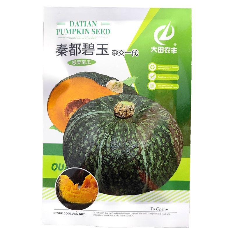 秦都碧玉南瓜种子果肉橘黄色粉质肉厚味好耐储运