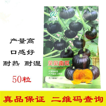 贝贝南瓜种子果面光亮果肉橘黄色肉厚粉甜