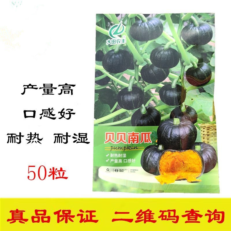 贝贝南瓜种子果面光亮果肉橘黄色肉厚粉甜