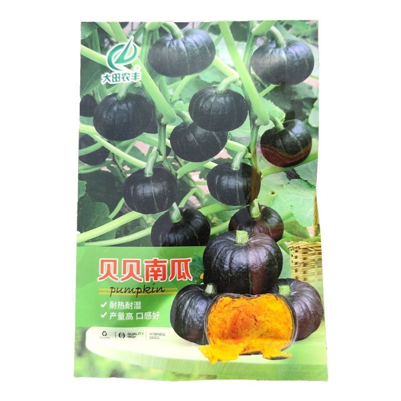 贝贝南瓜种子果面光亮果肉橘黄色肉厚粉甜
