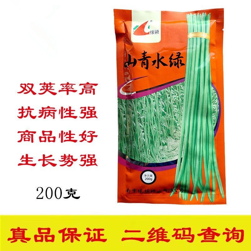 山青水绿豇豆种子条荚顺直荚翠绿色双荚率高抗病