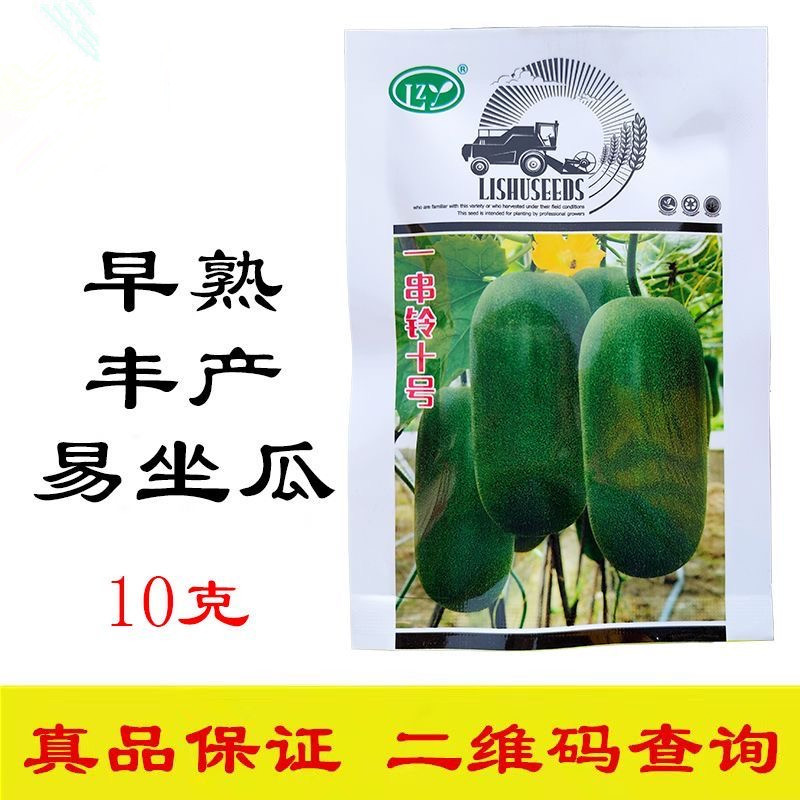 一串铃十号冬瓜种子早熟抗病嫩瓜浅绿成熟黑绿肉厚