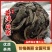 普洱白茶（古树龙珠）五年陈老白茶10斤起包邮