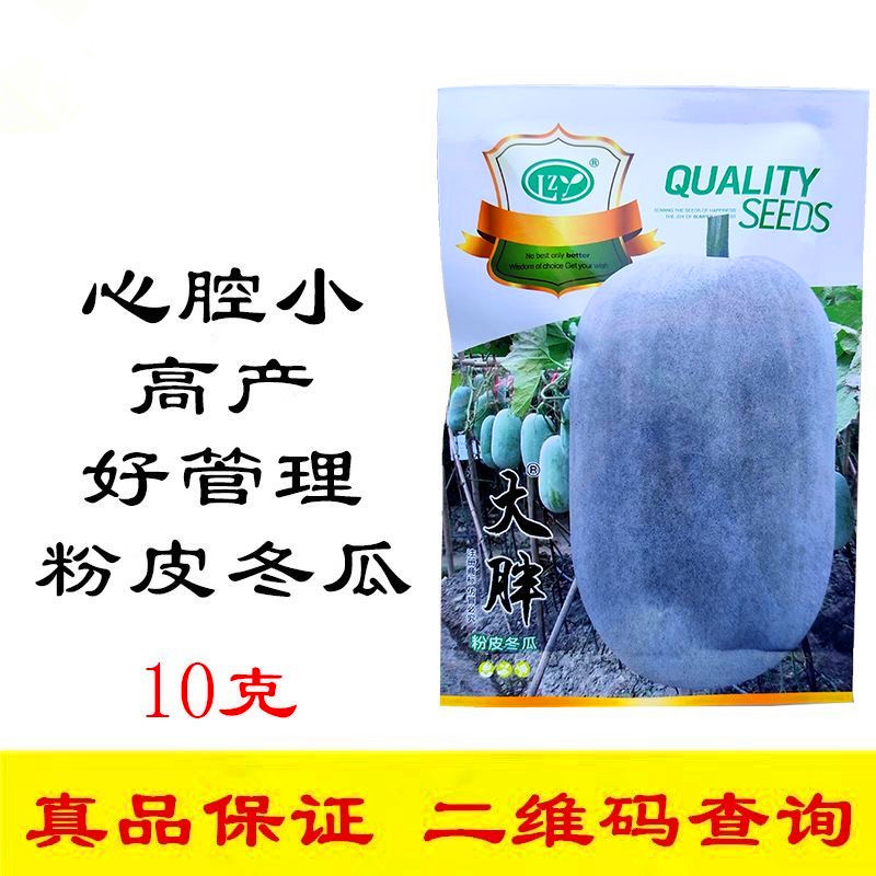 大胖粉皮冬瓜种子瓜肉密度高空心小耐热耐储藏