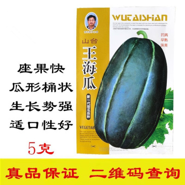 王海瓜甜瓜种子中熟抗病果肉白色有香味酥脆爽甜