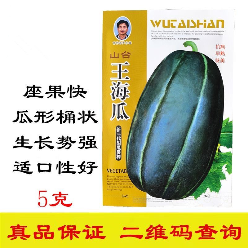 王海瓜甜瓜种子中熟抗病果肉白色有香味酥脆爽甜