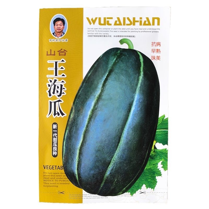 王海瓜甜瓜种子中熟抗病果肉白色有香味酥脆爽甜