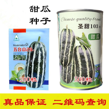 圣甜103甜瓜种子果皮薄果肉紧致酥脆入口即化瓜瓤干