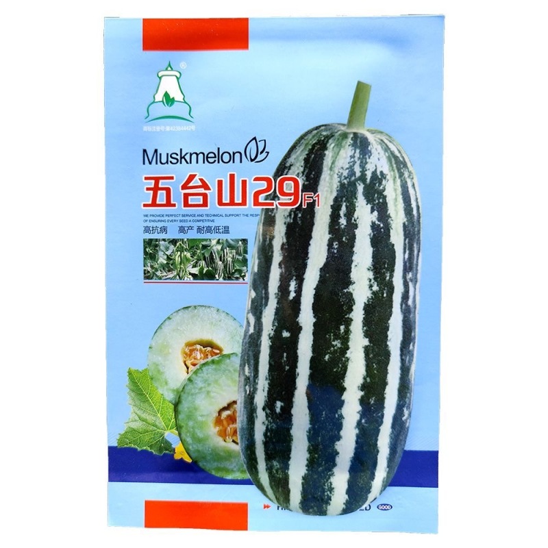 圣甜103甜瓜种子果皮薄果肉紧致酥脆入口即化瓜瓤干