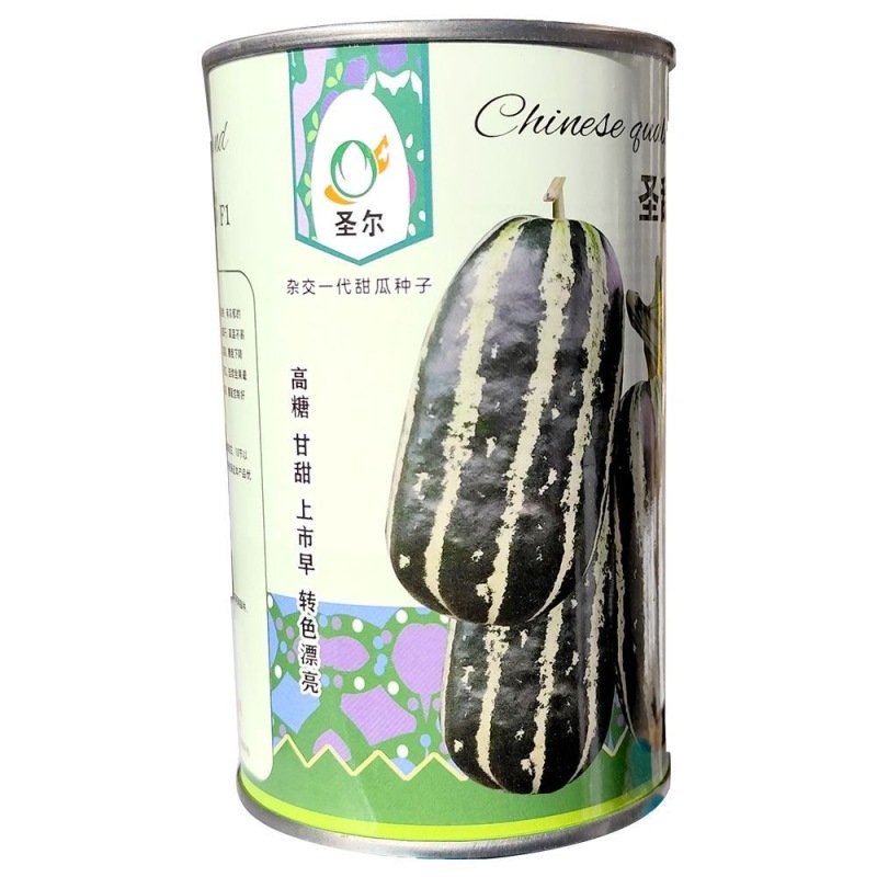 圣甜103甜瓜种子果皮薄果肉紧致酥脆入口即化瓜瓤干