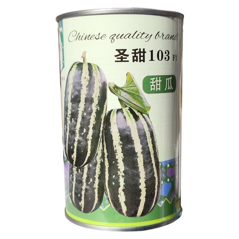 圣甜103甜瓜种子果皮薄果肉紧致酥脆入口即化瓜瓤干