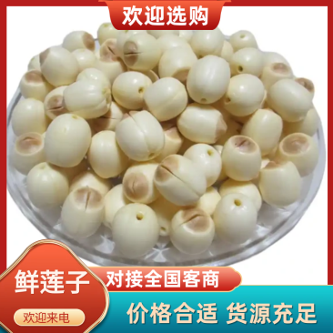 {诚信商家}新鲜白莲子，产地直发，大量出货。欢迎来电。