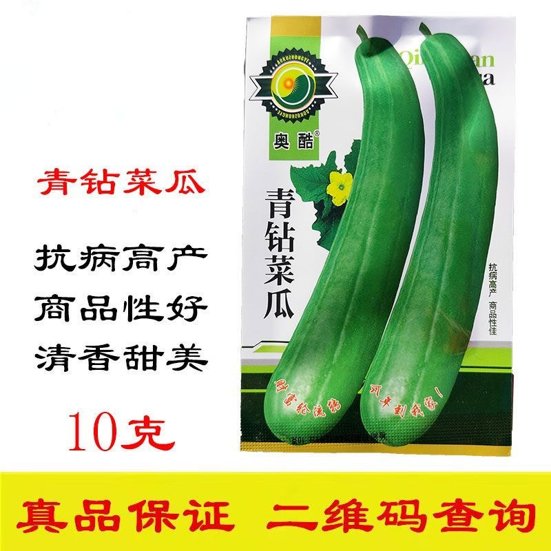 青钻菜瓜种子果皮青绿果肉白色味清香甜美