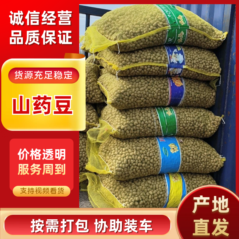 青州山药豆原产地白玉山药豆，电商货，串糖球大豆，育苗豆，