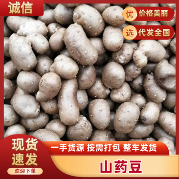 青州山药豆串糖球山药豆批发零售，原产地直销