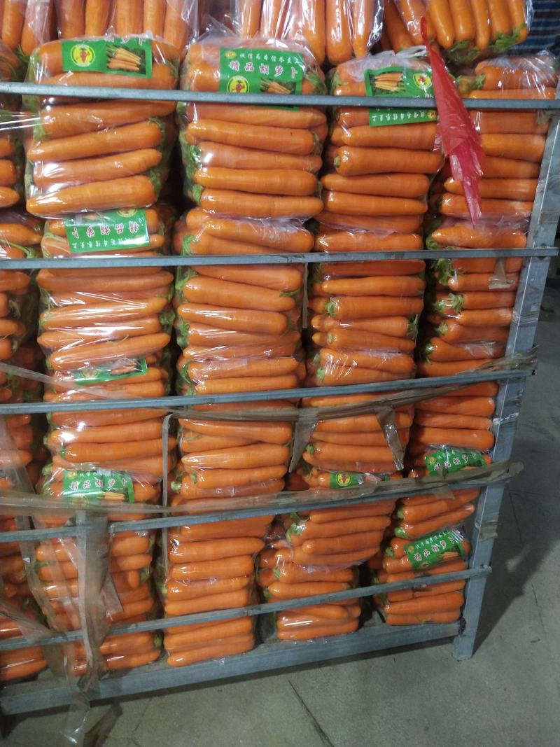 {诚信商家}广西优质胡萝卜1-5月大量上市，货源足价格优