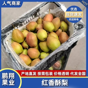 红香酥梨，大量长期供货，精品发货，欢迎来电咨询