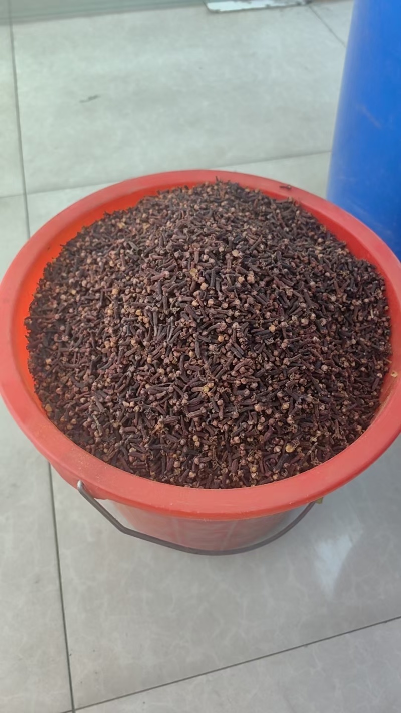 丁香规格齐全可视频看货愿我们一次合作终身可成为朋友