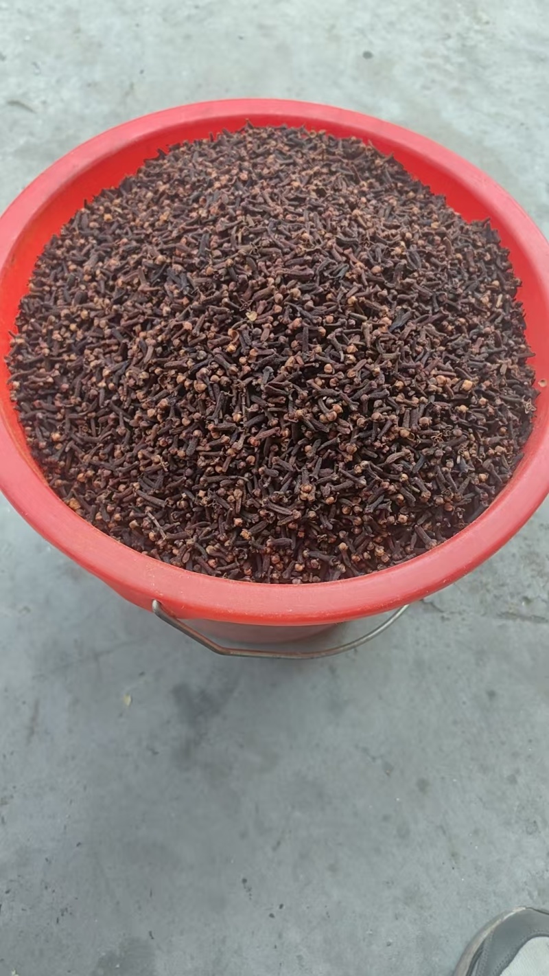 丁香规格齐全可视频看货愿我们一次合作终身可成为朋友