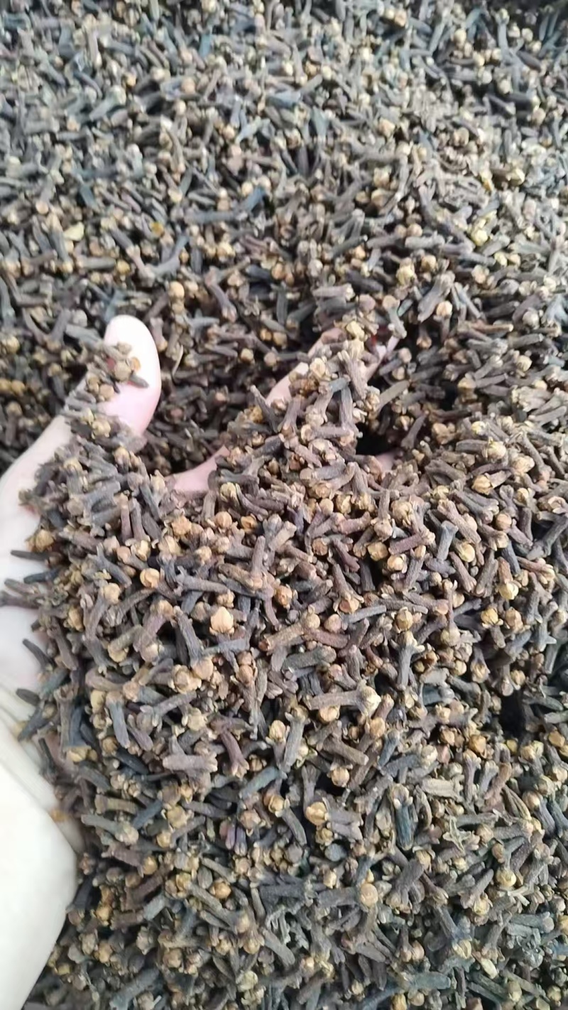 丁香规格齐全可视频看货愿我们一次合作终身可成为朋友