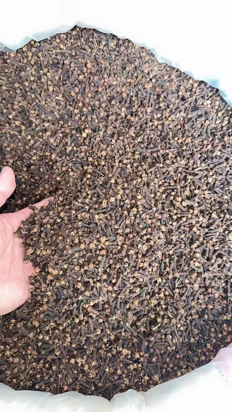 丁香规格齐全可视频看货愿我们一次合作终身可成为朋友