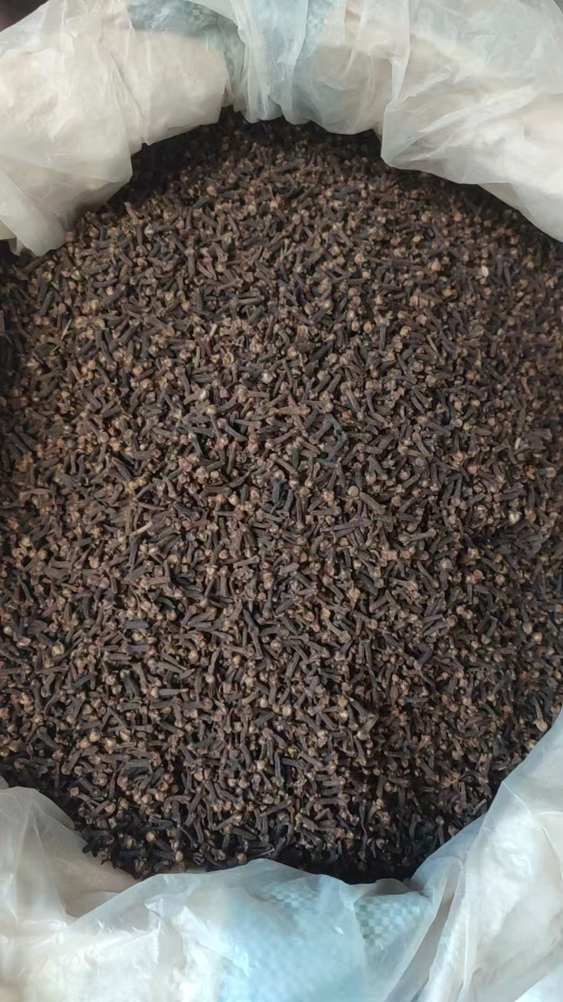 丁香规格齐全可视频看货愿我们一次合作终身可成为朋友