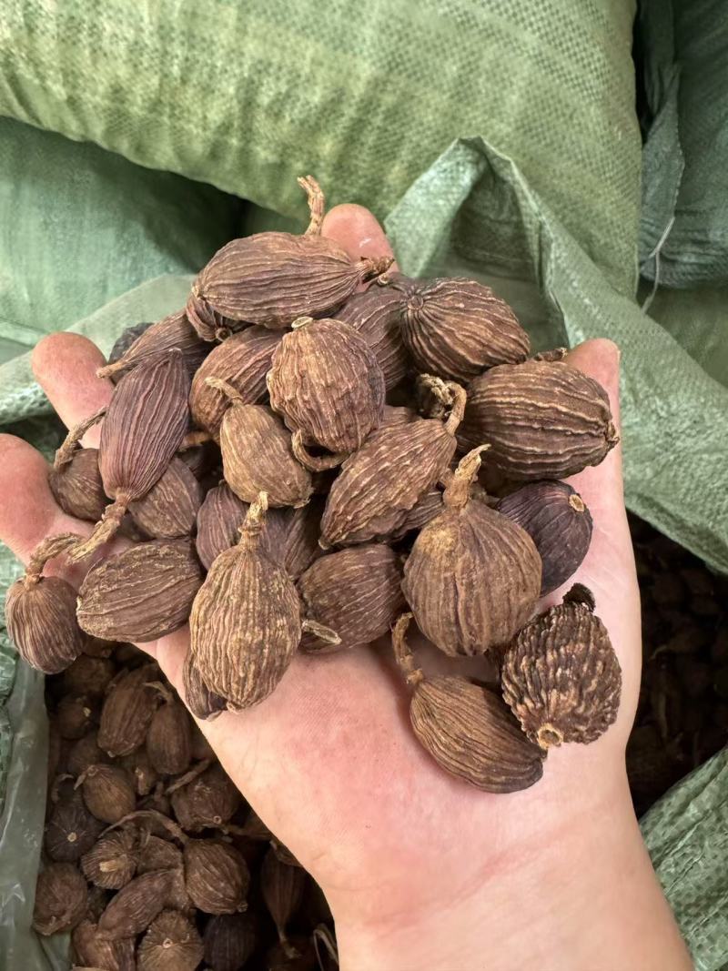 云南草果【中药材】欢迎客商前来采购！支持视频看货