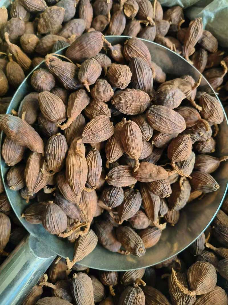 云南草果【中药材】欢迎客商前来采购！支持视频看货