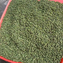 青麻椒
