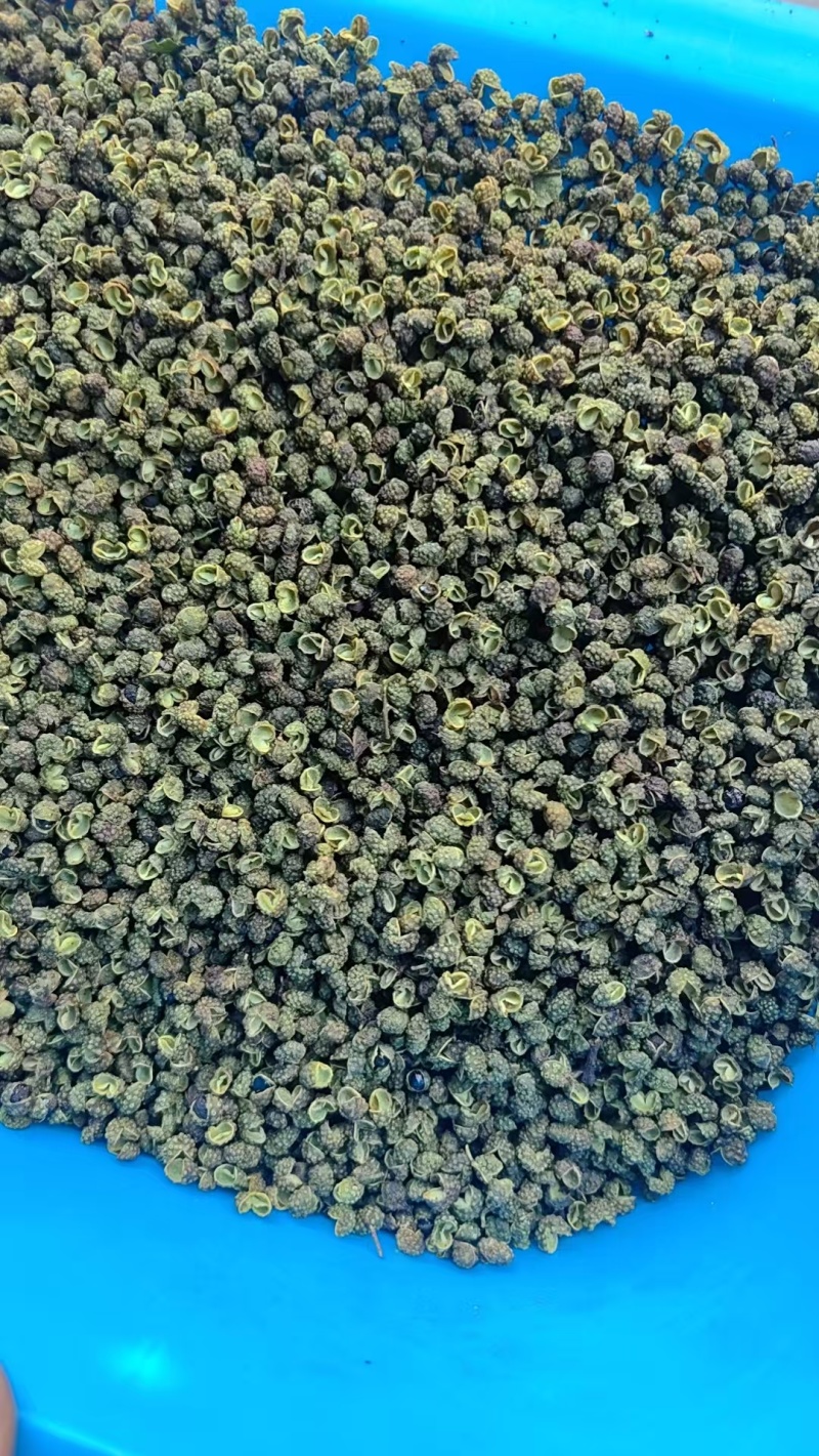 青麻椒