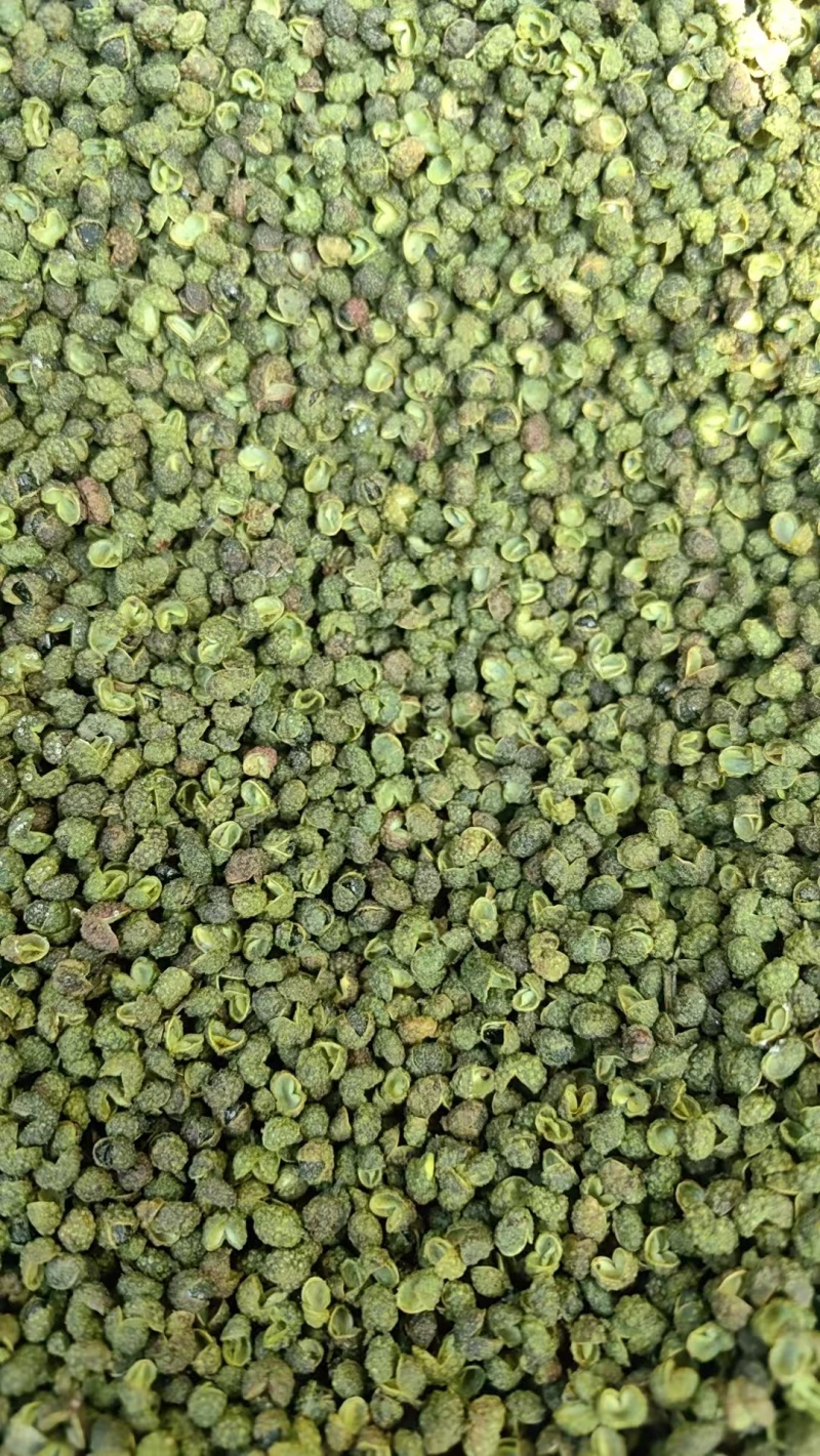 青麻椒