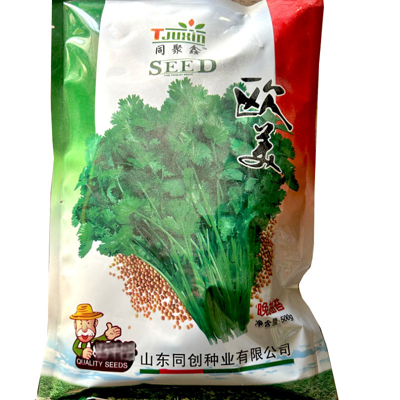 欧美香菜种子耐热香味浓500g芫荽菜籽速生南北方地种植