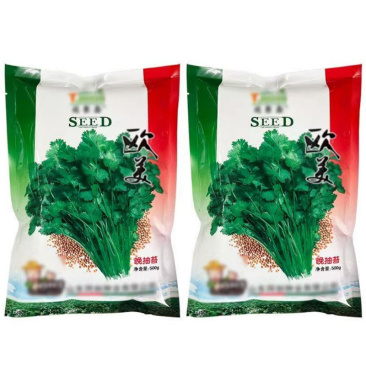 欧美香菜种子耐热香味浓500g芫荽菜籽速生南北方地种植