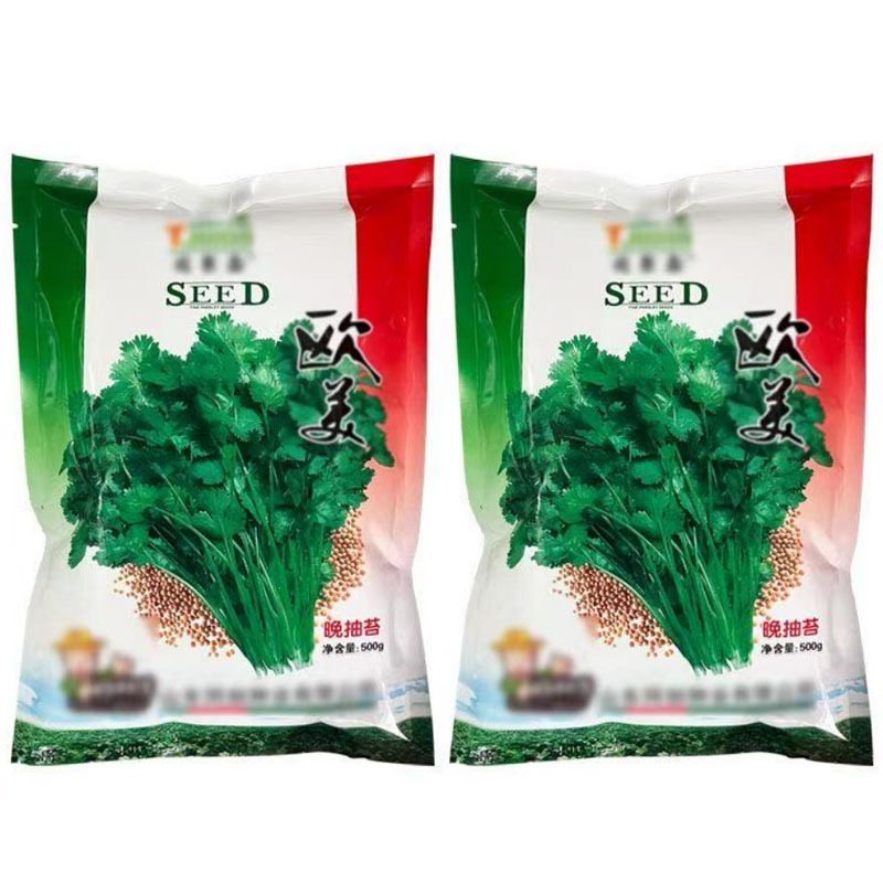 欧美香菜种子耐热香味浓500g芫荽菜籽速生南北方地种植