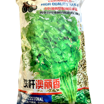拖车头铁杆澳丽香香菜种子芫荽籽耐热生长快青梗四季种植
