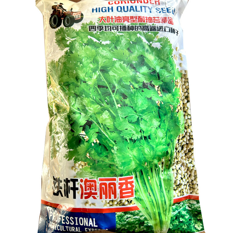 拖车头铁杆澳丽香香菜种子芫荽籽耐热生长快青梗四季种植