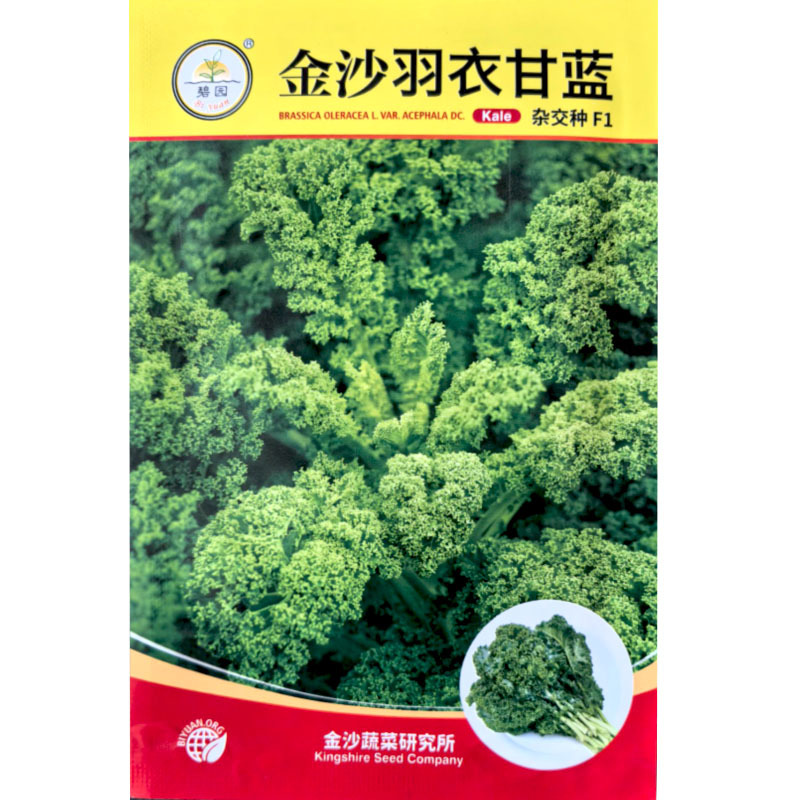 羽衣甘蓝种子抗病食用甘蓝多次採收批发基地品种